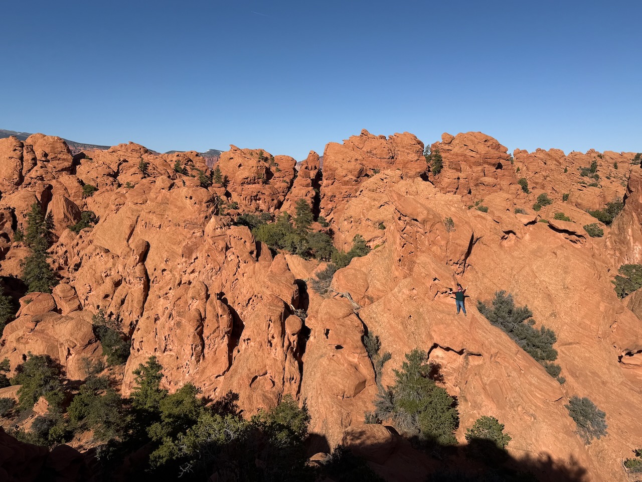Vast red rock canyon landscape